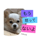 旦那へ（個別スタンプ：16）