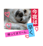 旦那へ（個別スタンプ：17）
