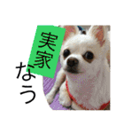 旦那へ（個別スタンプ：18）
