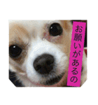 旦那へ（個別スタンプ：19）