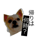 旦那へ（個別スタンプ：20）