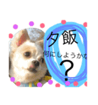 旦那へ（個別スタンプ：33）