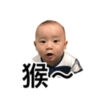 little Kevin's life（個別スタンプ：25）