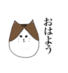 ぶーちゃんネコ（個別スタンプ：1）