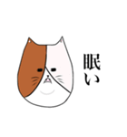 ぶーちゃんネコ（個別スタンプ：4）