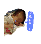 うちのこのスタンプ（個別スタンプ：20）