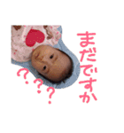 うちのこのスタンプ（個別スタンプ：24）