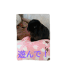 rabbit.talk-2（個別スタンプ：2）