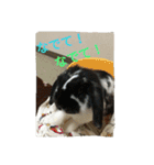 rabbit.talk-2（個別スタンプ：8）
