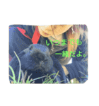 rabbit.talk-2（個別スタンプ：23）