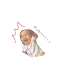 my baby  ？（個別スタンプ：6）