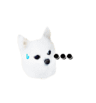 愛らしい犬たち（個別スタンプ：3）