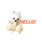 愛らしい犬たち（個別スタンプ：4）