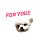 愛らしい犬たち（個別スタンプ：38）
