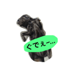 黒ラブのインディーpart③（個別スタンプ：3）