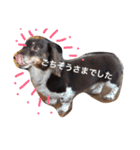 しんちゃんスタンプ②（個別スタンプ：10）
