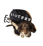 しんちゃんスタンプ②（個別スタンプ：28）