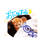 ちろちゃんその2。（個別スタンプ：4）