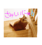 ちろちゃんその2。（個別スタンプ：11）