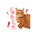 ちろちゃんその2。（個別スタンプ：12）