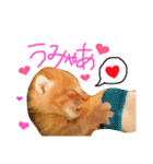 ちろちゃんその2。（個別スタンプ：14）
