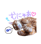 ちろちゃんその2。（個別スタンプ：15）