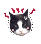 ほぺぴ（個別スタンプ：7）