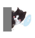 ほぺぴ（個別スタンプ：8）