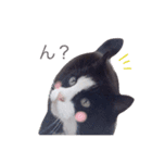 ほぺぴ（個別スタンプ：9）