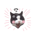 ほぺぴ（個別スタンプ：12）