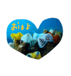 ダイビング 魚 ダイバー（個別スタンプ：1）