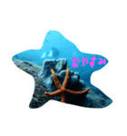 ダイビング 魚 ダイバー（個別スタンプ：2）