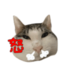 美子(みこ)スタンプ（個別スタンプ：4）