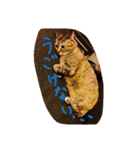 猫のちゃっぴーpart2（個別スタンプ：8）