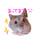 ジャンガリアンハムスターのブー（個別スタンプ：3）