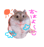 ジャンガリアンハムスターのブー（個別スタンプ：4）