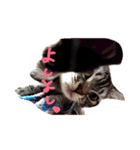 りんとふー（個別スタンプ：1）