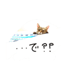 りんとふー（個別スタンプ：6）