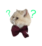 なかよし猫のクルミとミオ（個別スタンプ：7）