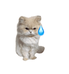 なかよし猫のクルミとミオ（個別スタンプ：8）