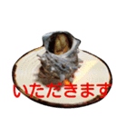 さかなづくし（個別スタンプ：14）