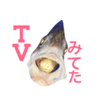 さかなづくし（個別スタンプ：20）