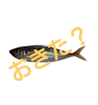 さかなづくし（個別スタンプ：22）