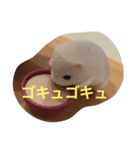 ミニハムお茶タイム（個別スタンプ：2）