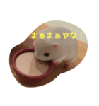 ミニハムお茶タイム（個別スタンプ：4）