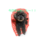 ゆうかのワンコ（個別スタンプ：6）