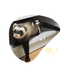 フェレットねる（個別スタンプ：23）
