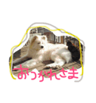 やまだ いつき（個別スタンプ：2）