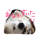 やまだ いつき（個別スタンプ：6）