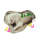 やまだ いつき（個別スタンプ：7）